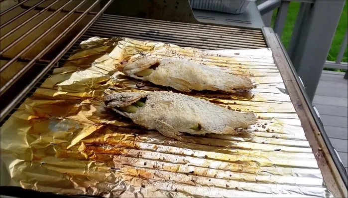 Turn the fish carefully after 14 minutes.