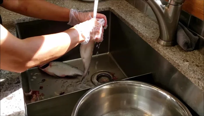 Clean the fish thoroughly; don't scrape the fins.