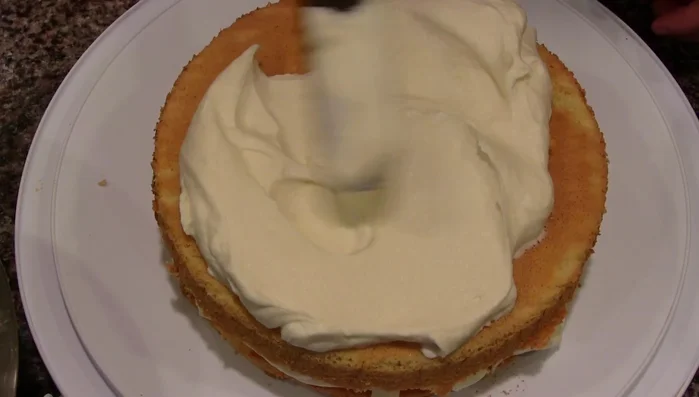 Top with the second cake layer and remaining frosting and mangoes.