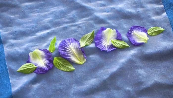 Optional: Add Life Saver candy and Butterfly Pea flower for visual appeal.