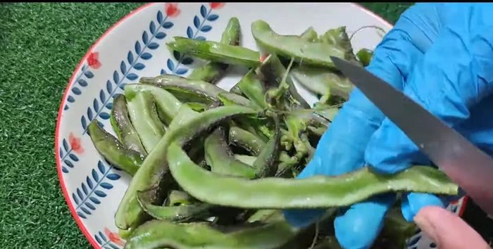 Remove the tough fibers from the green beans and trim any excessively long pods.