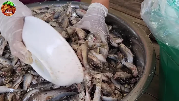 Pack tightly: Pack the marinated fish tightly into a jar or suitable container.