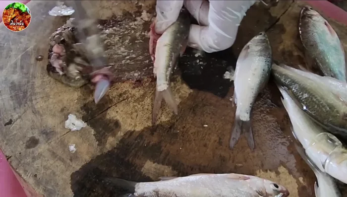 Clean the fish: Remove scales and intestines. (Explain in two languages if possible)