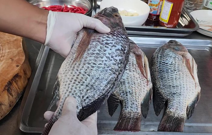 Prepare the tilapia: Remove scales, gills, and internal organs. Cut into portions to avoid breaking during frying.