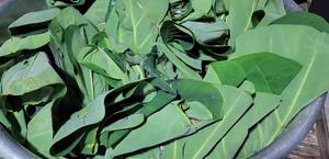 Authentic Khao Mak Recipe: A Step-by-Step Guide