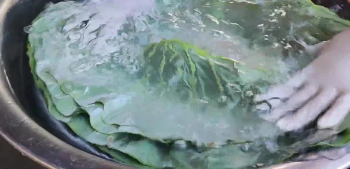 Prepare taro leaves (or banana leaves) by washing them thoroughly and wrapping them in a plastic bag for later use.