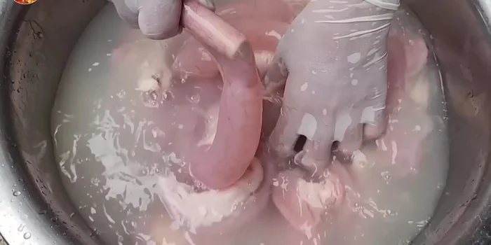 Prepare the intestines: Wash thoroughly, inside and out, with water, flour and salt. Boil for 40 minutes with lemongrass and lime leaves to remove any fishy smell.