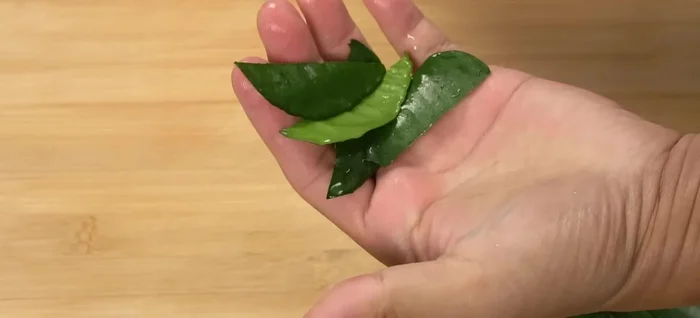Prepare the garnish: Slice kaffir lime leaves and red chilies.