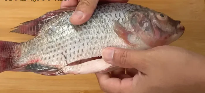 Clean the tilapia: Remove scales, cut open the belly, remove intestines, gills, and fins.