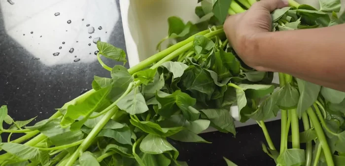 Prepare the morning glory by washing and cutting it into 5cm lengths. Select only the tender parts.