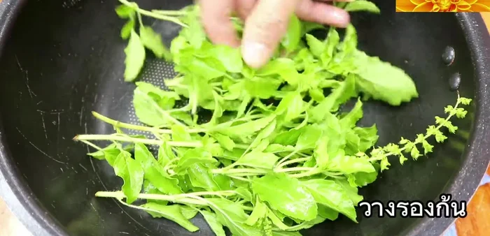 Garnish and serve: Garnish with fresh Thai basil and serve immediately.