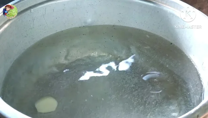 Boil water in a pot. Add crushed Chinese garlic, pork stock cube, and light soy sauce.