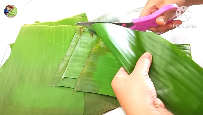 Prepare banana leaves: Burn banana leaves over fire to soften, wipe clean. Cut into two sizes: 7-inch and 8-inch wide pieces.