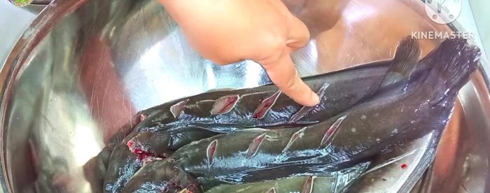 Clean the catfish: Remove feces and intestines, make neat incisions. Wash with salt and lime or orange juice, knead and rub to remove mucus. Rinse 2-3 times.