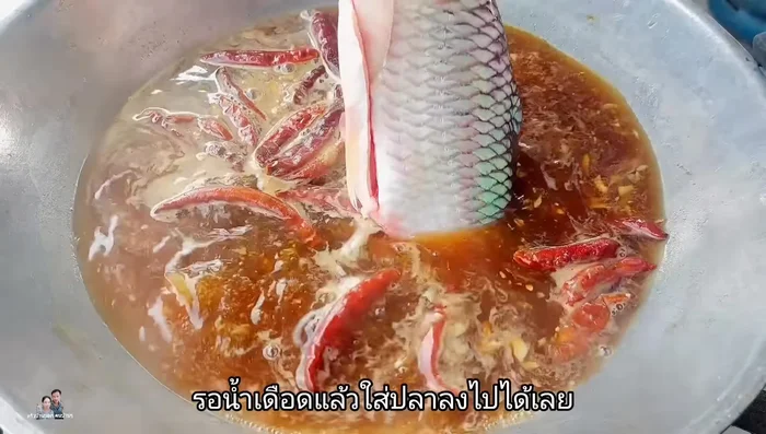 Once the water boils, gently add the carp. Avoid stirring or turning frequently to prevent the fish from becoming mushy.