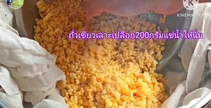Soak mung beans overnight. Wash and steam them in a steamer lined with a thin cloth for 20 minutes, making a hole in the center for steam to escape.
