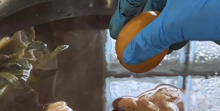 Add eggs and chicken blood in the last 30 minutes of cooking.