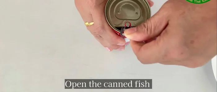Open the can of fish and pour it into a bowl.