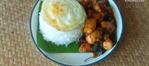 Delicious Thai Basil Chicken Recipe (Stir-fried Chicken with Basil)