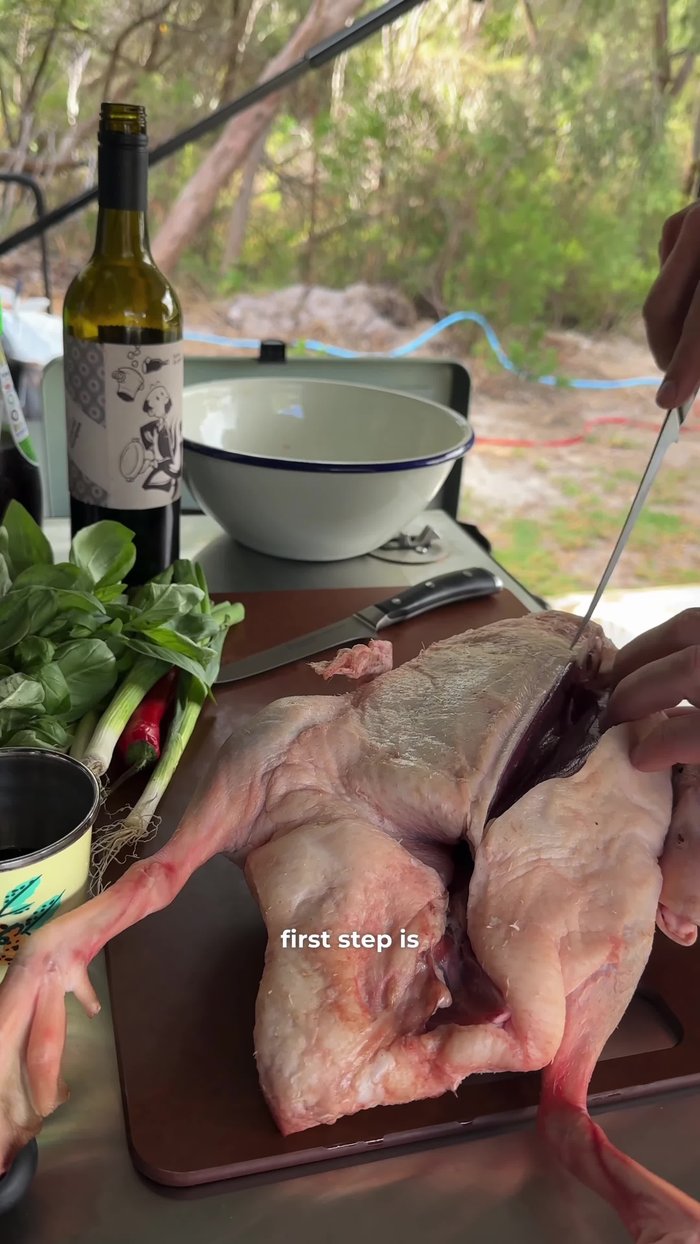 Remove duck breasts from the whole duck. Generously salt the duck skin.