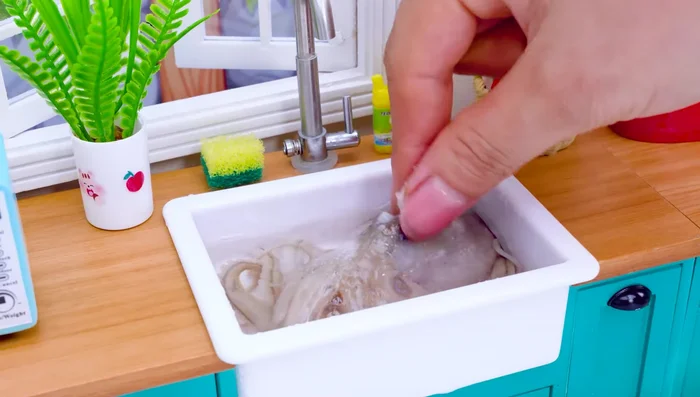 Wash octopus with salt water and boil it.