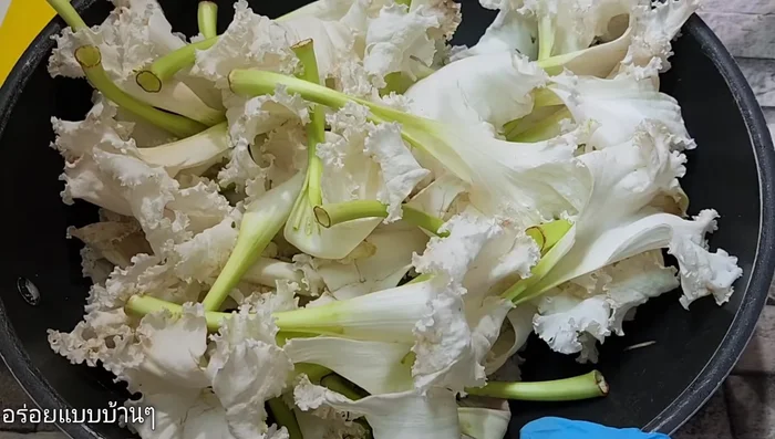 Wash canna flowers.