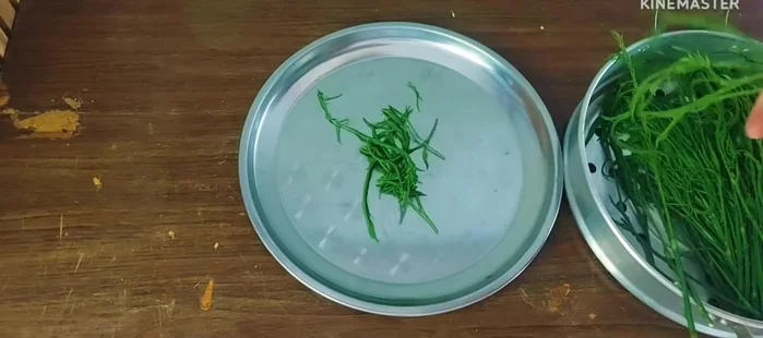 Let the steamed cha-om cool and then pick the leaves.