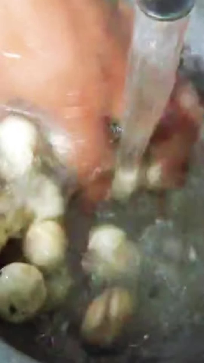 Thoroughly wash the mushrooms.
