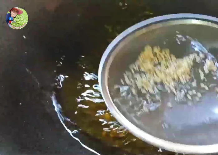 Remove the cookies and drain on a paper towel to remove excess oil.