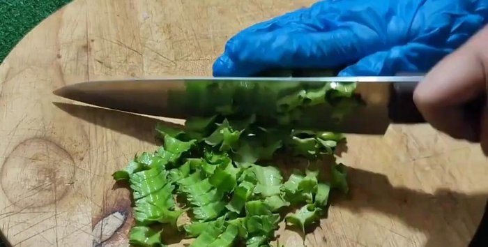 Cut the winged beans into small pieces. Avoid cutting them too small or too big.