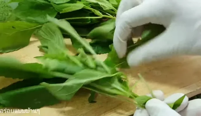 Prepare the Yila leaves (or basil leaves) by picking and washing them.