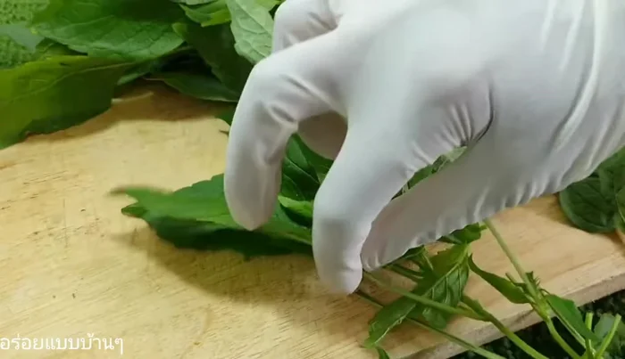 Wash all other vegetables thoroughly.