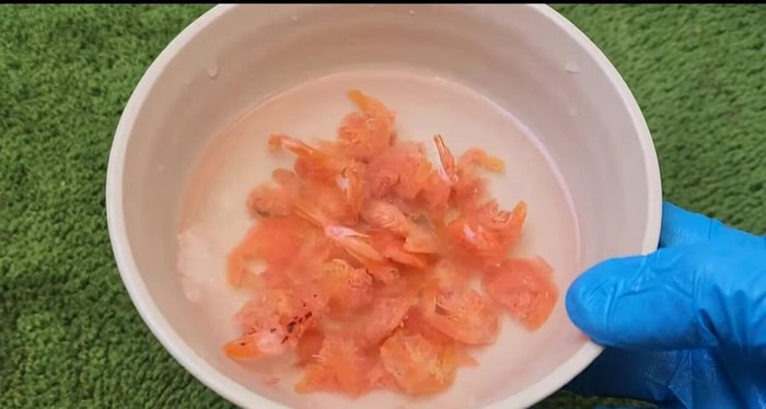 Wash and soak dried shrimp in water 2-3 times.