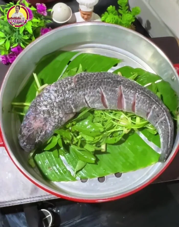 Place the fish in the steamer with the herbs and optional vegetables. Steam for 30 minutes.