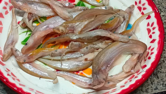 Wash and clean the fish thoroughly. Drain the water and sprinkle with a little salt. (20.34)
