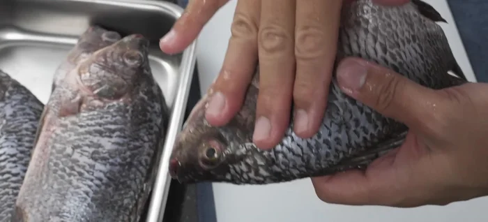 Prepare the fish: Have the fish scaled, gutted, and belly cut open. You can keep the head and fins, or remove them. Remove any dark gum along the spine. Score the fish in diagonal lines or long strips. Sprinkle with a little salt.