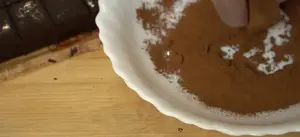 Chewy Cocoa Recipe: 2-Ingredient Rich Chocolate Treat