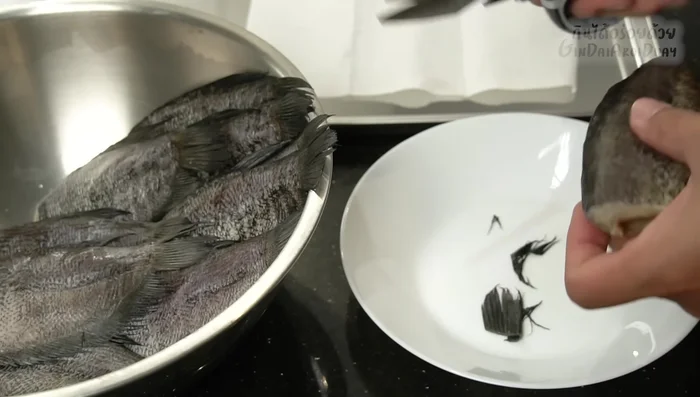 Trim the fins and tail of the gourami for even frying. (69.119)