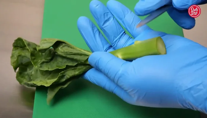 Choose fresh Hong Kong kale. Use a sharp knife and peeler to carefully peel the stems, removing any blemishes or imperfections. Trim the leaves to create a neat and visually appealing presentation.