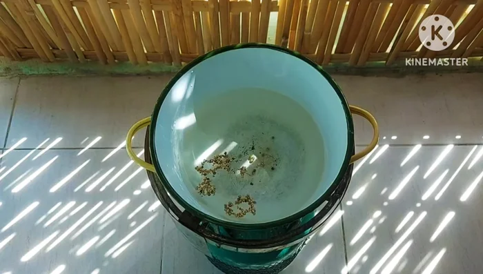 Prepare the soup broth: In a pot, combine water, coarsely ground pepper, crushed garlic, coriander root, salt, curry powder, sugar, soy sauce, and white pepper. Stir until dissolved.