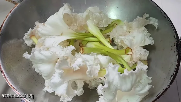 Add the canna flowers to the pan. Stir-fry briefly, ensuring the fish sauce coats them evenly. (103)