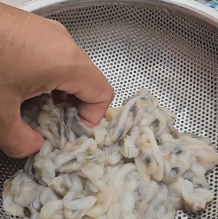 Wash the clams.