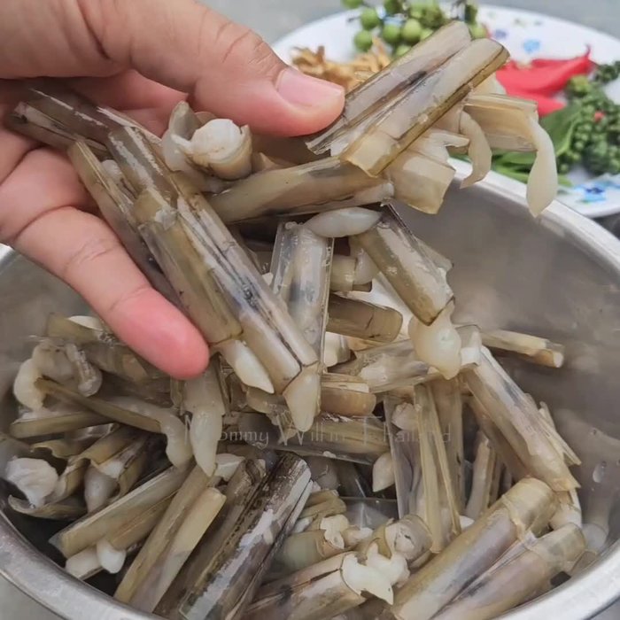 Your wife brings home razor clams. Someone will show you how to open them.