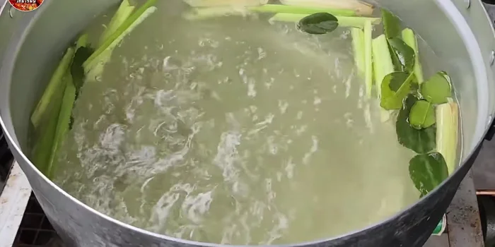 Boil the pig tails with salt, lemongrass, and lime leaves for about 20 minutes until the skin softens. (51.48)
