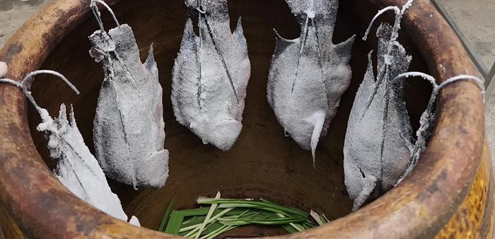 Place the tilapia in a clay pot or on a baking tray.