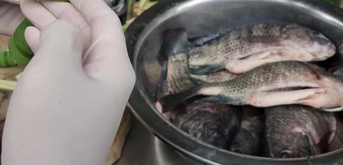 Stuff the tilapia with lemongrass and pandan leaves (or kaffir lime leaves).