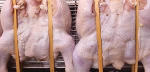 Grilled Chicken Recipe: Street Food Style - Easy to Sell