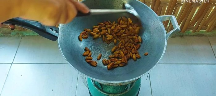 Roast the pupae until fragrant. This enhances the flavor.