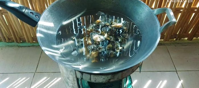 Prepare the cherry snails: Boil again with lemongrass and lime leaves for hygiene and aroma.