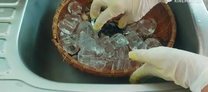 Prepare the crabs: Wash thoroughly with a brush. If they are still alive, chill them with ice.